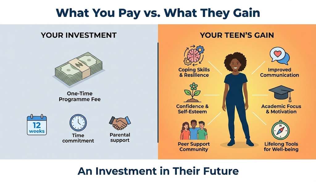 Infographic showing programme value